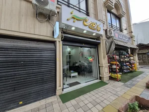 املاک عمارت سبز 3