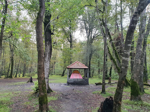 پارک جنگلی نور