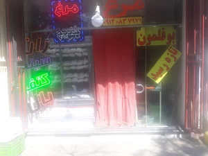 مرغ ماهی خلیج فارس