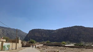 محصولات پروتئینی خانگی مزه چی