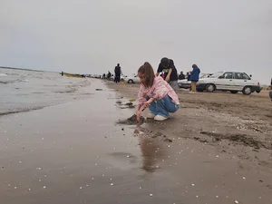 ساحل جلبکی دریا چمخاله