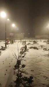 پارک دانش شهرک فرهنگیان