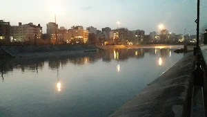 نمايندگي بوتان يونسي