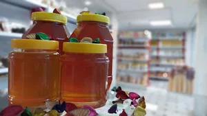 فروشگاه ارگانیک گیلانی