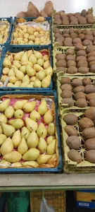 میوه فروشی 4