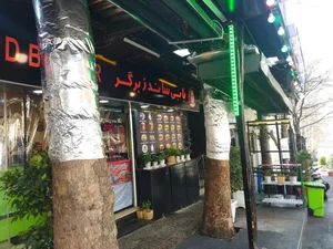 بابی ساندز 5