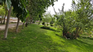 بوستان 9 دی