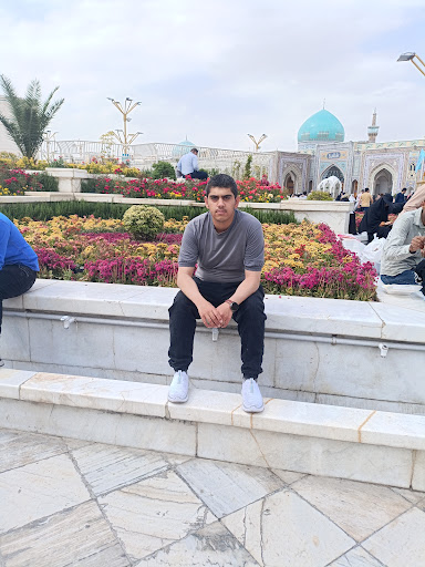 نیما دهدار حرم امام رضا