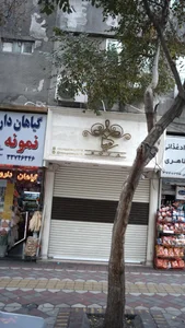 گالري رويا