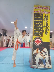 باشگاه فرهنگی ورزشی عباسی(آکادمی کیوکوشین کاراته عباسی تبریز)