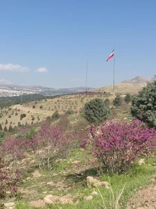آینه و قاب خادمی