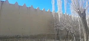 زمین گوره