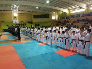 هیأت کاراته استان زنجان