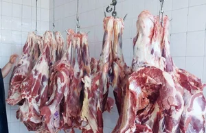 سوپر گوشت پورندی شعبه۲ 2