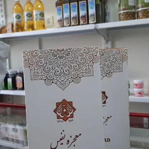 احیاگران سلامت روازاده مشهد
