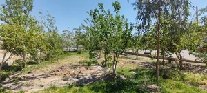 بوستان صاحب الزمان (عج)