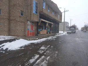 شیخ زاده