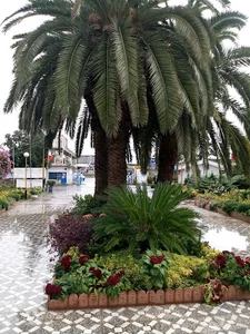 Allameh Hassanzadeh Amoli