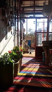 کافه موزه محسن