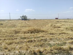 مزرعه حسن زرگرانی