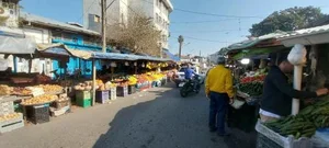 بازار تره بار و میوه جات 4