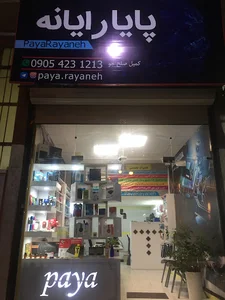 پايا رايانه