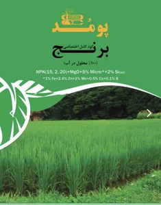 فروش کود تخصصی برنج ماهان
