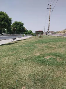 پارک