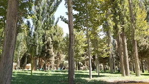 پارک تپەی هما