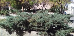 بوستان چیتگران 3