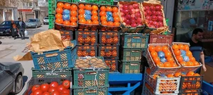 ارزانسرای میوه داریوش 3