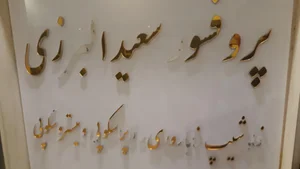 دکتر البرزی 2