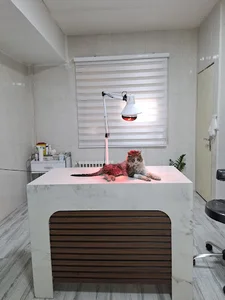 کلینیک دامپزشکی سترا