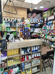 الکتریکی فرمانیه (الکترو فرمانیه )