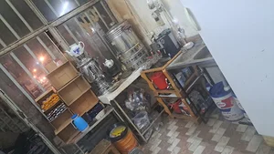 سینا