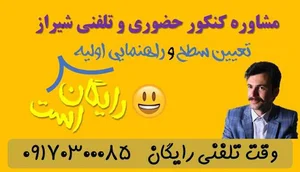مشاور 2 رقمی های شیراز | حسین پور