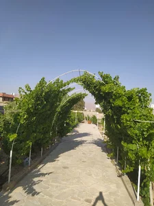 باغ صفائی