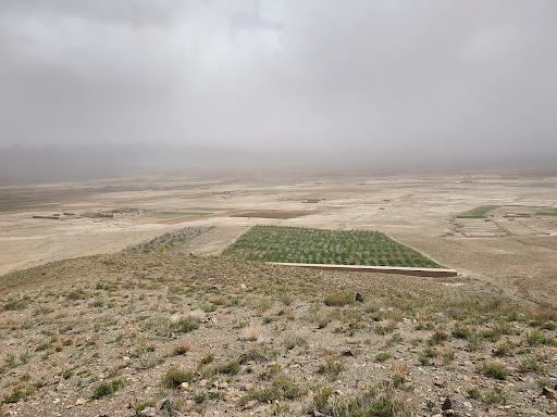 جاجی عرب شاه کور