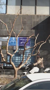 آرایش وپیرایش رخ نقره ای 2