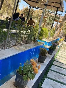 فلاویچ 2