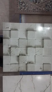 طلوع جویندگان آسیا