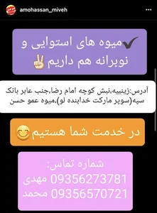 میوه عموحسن