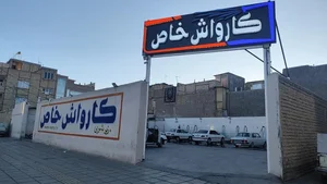 کارواش خاص 2