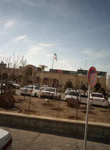 گیاهان دارویی پاپیتال