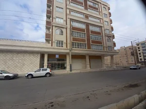 تولیدی پروتئین نایس ارگانیک