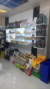 پتشاپ طوطی گیلان 4