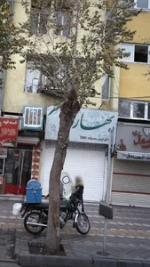بهار 2