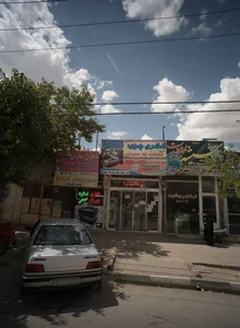 گالری چوب بلوط 2