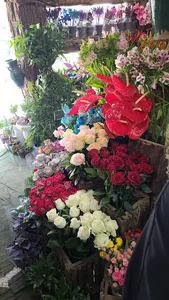 گل فروشی شهر گل مجید صالحی