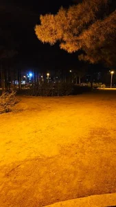پارک بنفشه 4